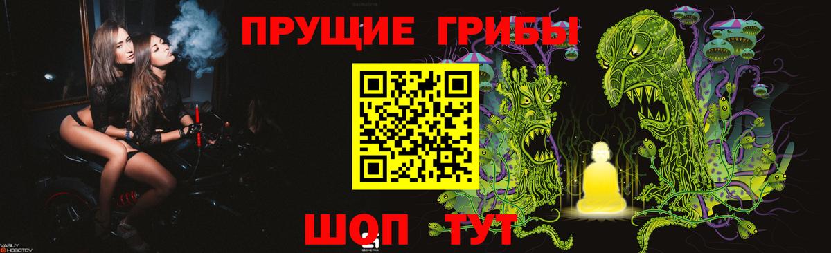 Камень-на-Оби  Псилоцибиновые грибы мицелий  Вход с VPN 