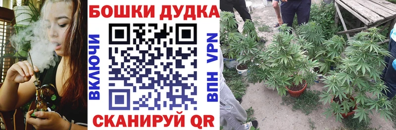 Шишки марихуана VHQ  Камень-на-Оби 